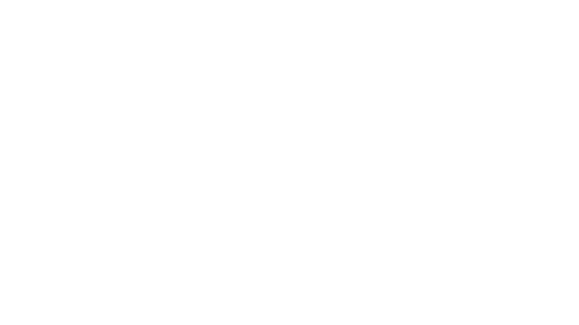 Visma logo