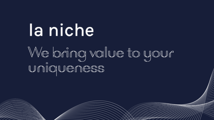 La Niche Agency: Your partner for effective digital communication